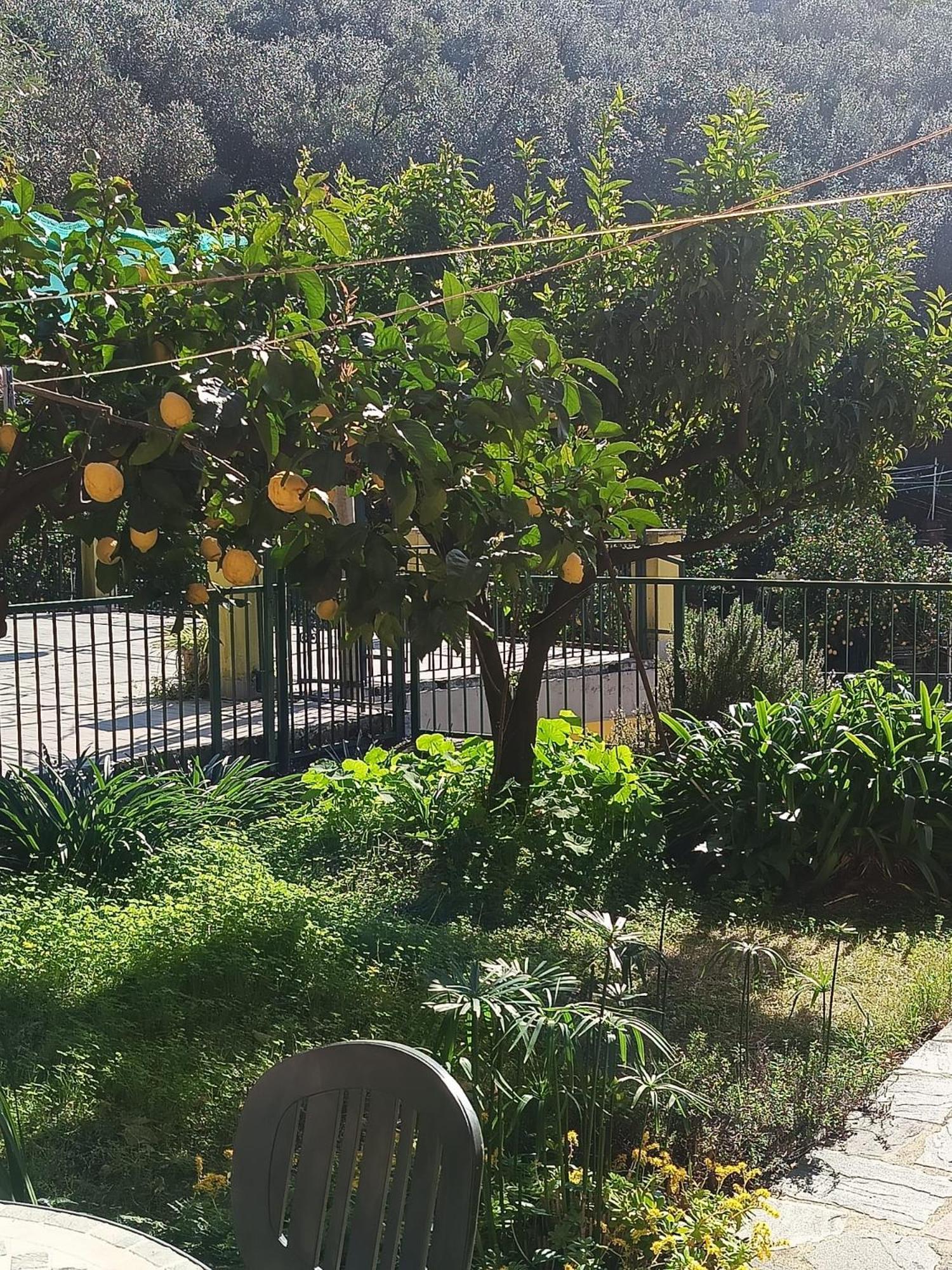 Chez Diego With Ac And Garden Monterosso al Mare Ngoại thất bức ảnh